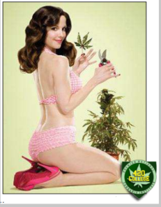 CBD pain relief cream