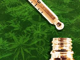 CBD oil